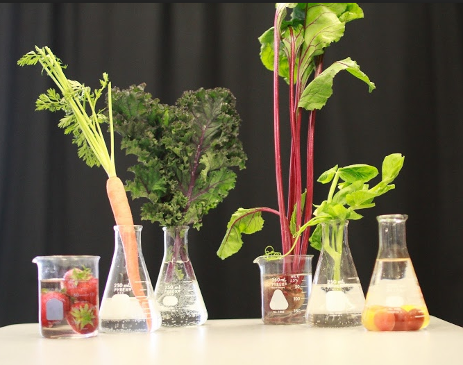 Studying the impact of engineered foods