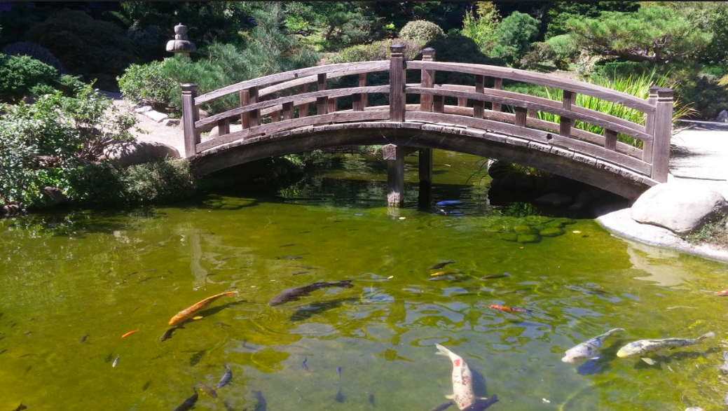 Hakone Gardens Renovations Ahead of Upcoming Groundbreaking Event