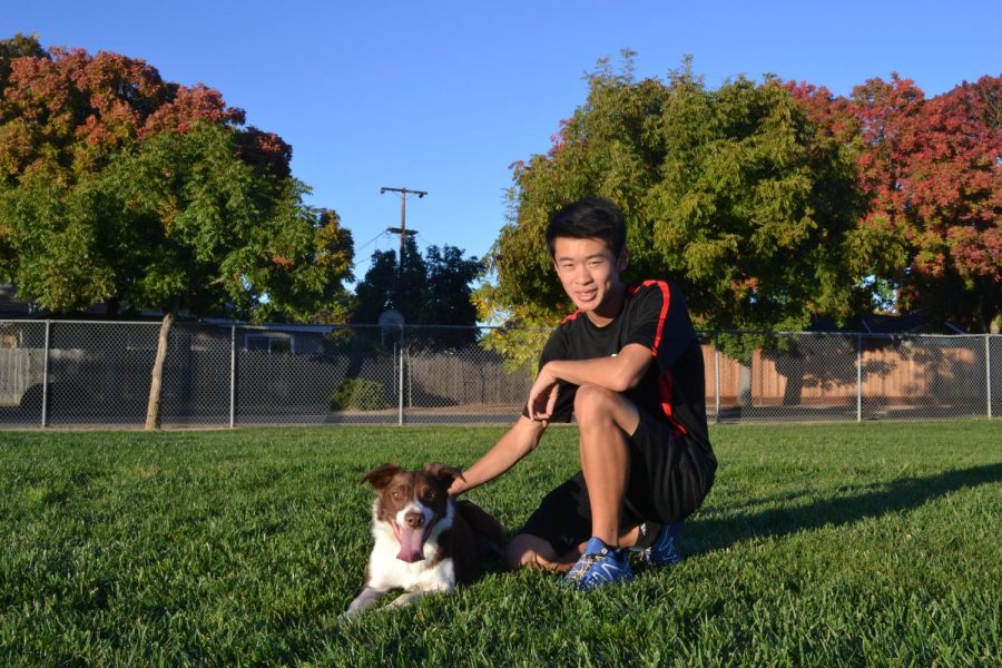 Radence Tsow hurdles over competition with his dog