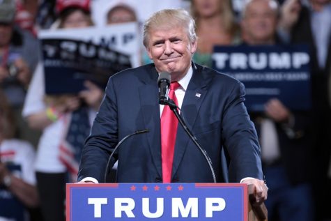 The political year in review