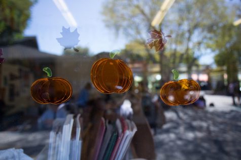 Staff and students showcase their Halloween spirit