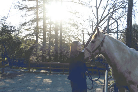 Uncovering the positive role of therapy animals