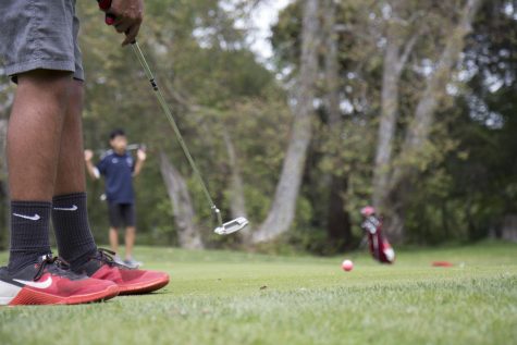 Boys golf team in the green