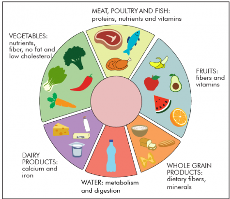 Wrestling nutrition plan