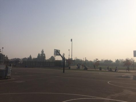 Student health vs. Education: should schools close due to poor air quality?