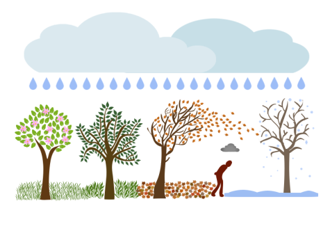 A look into seasonal depression: winter blues and summertime sadness