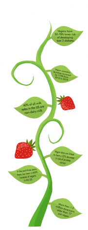 Not just salads: veganism and its impacts