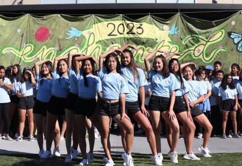 Homecoming: Freshman Skit 19-20