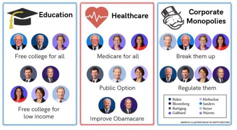 A graphic illustration of the issues Democratic presidential candidates have been running on for their 2020 campaign.