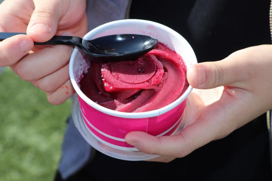 The school cafeteria offers many sweet treats, like this Super Berry sorbet.