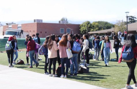 Seniors gather in the quad for the gambit, a chance to either gain points in this year's senior game or have their points halved.