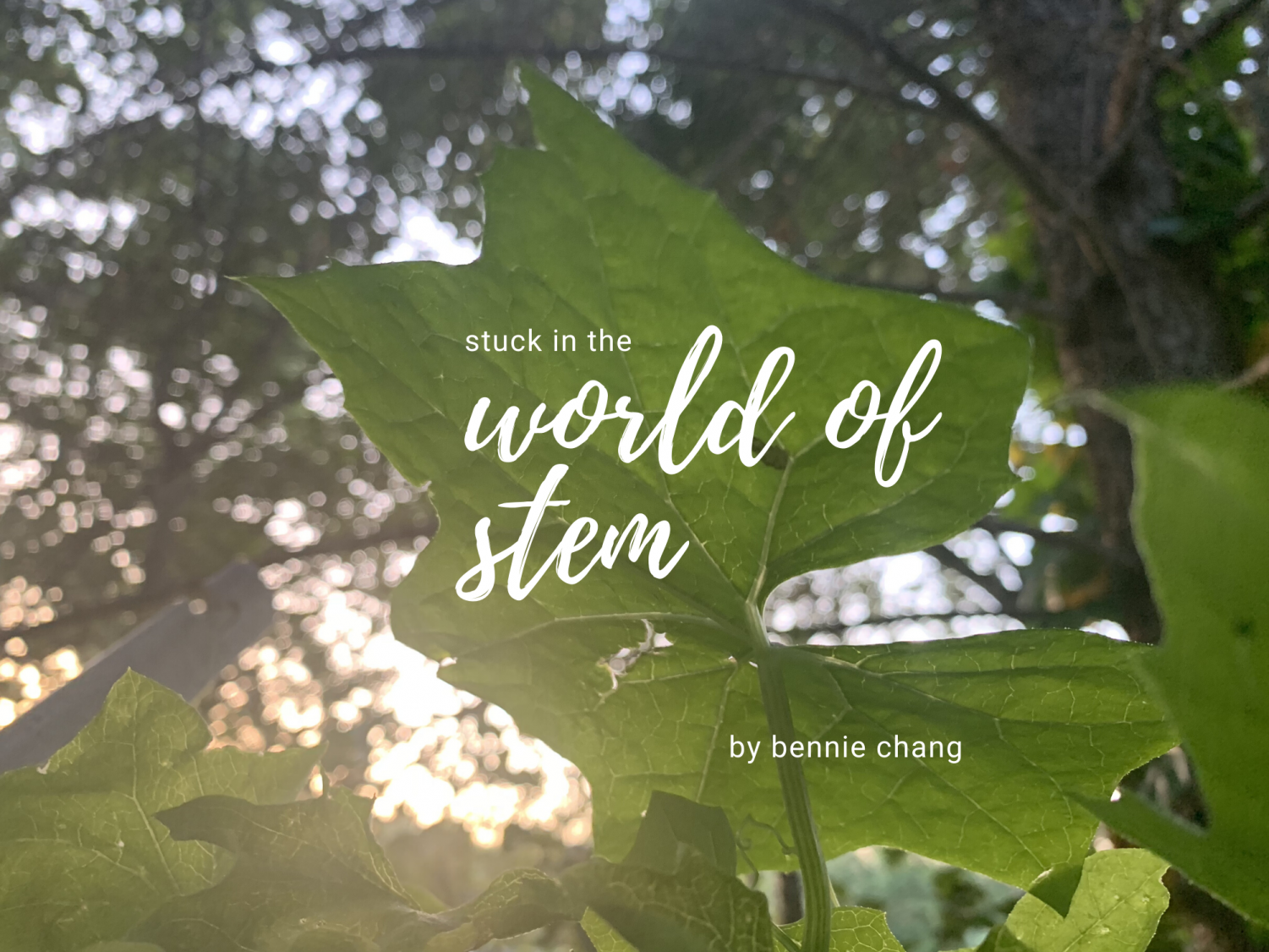 Stuck in the world of STEM