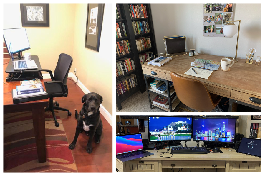 Due to remote learning, teachers workspaces have changed from classrooms to their desks at home. Take a look at the home workspaces of multiple Lynbrook teachers. 