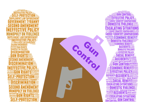 The arguments for and against gun control are more complex than they may seem at first glance. 