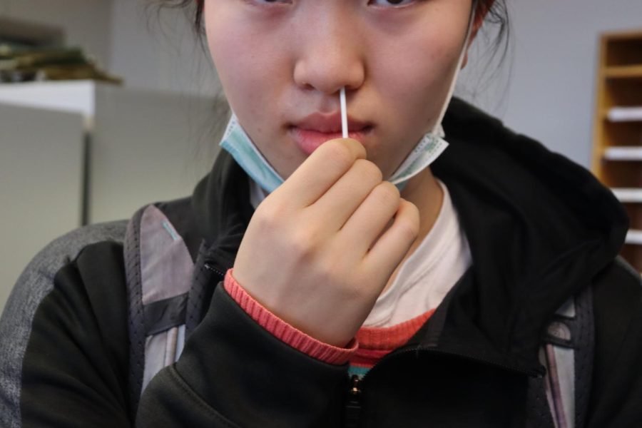 Students must swab their nose properly to ensure accurate results.