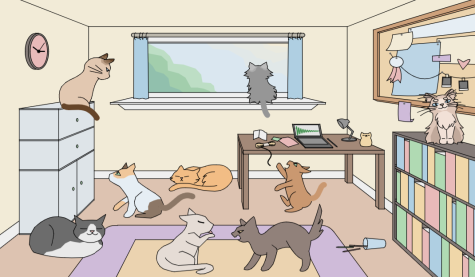 Shus Desmos art piece, Nine Lives in Perspective, features nine cats each created with a different equation. 