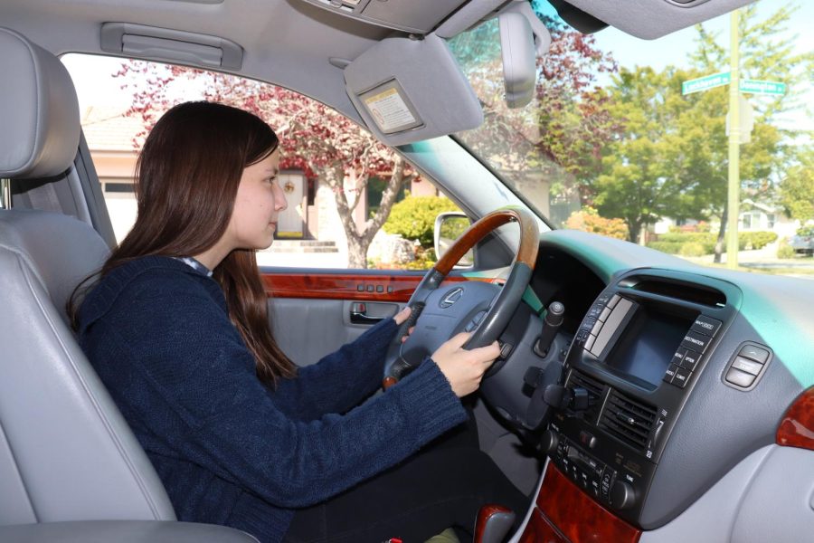 Lynbrook students have expressed varying opinions on the purpose of driving in high school and whether it’s necessary. 