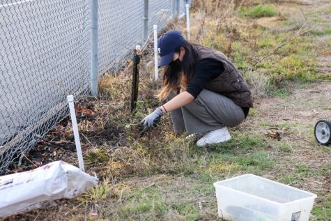 Through their collaboration during the past three months, CAA and Miller students raised and installed garden beds, removed weeds and fixed the drip irrigation system.