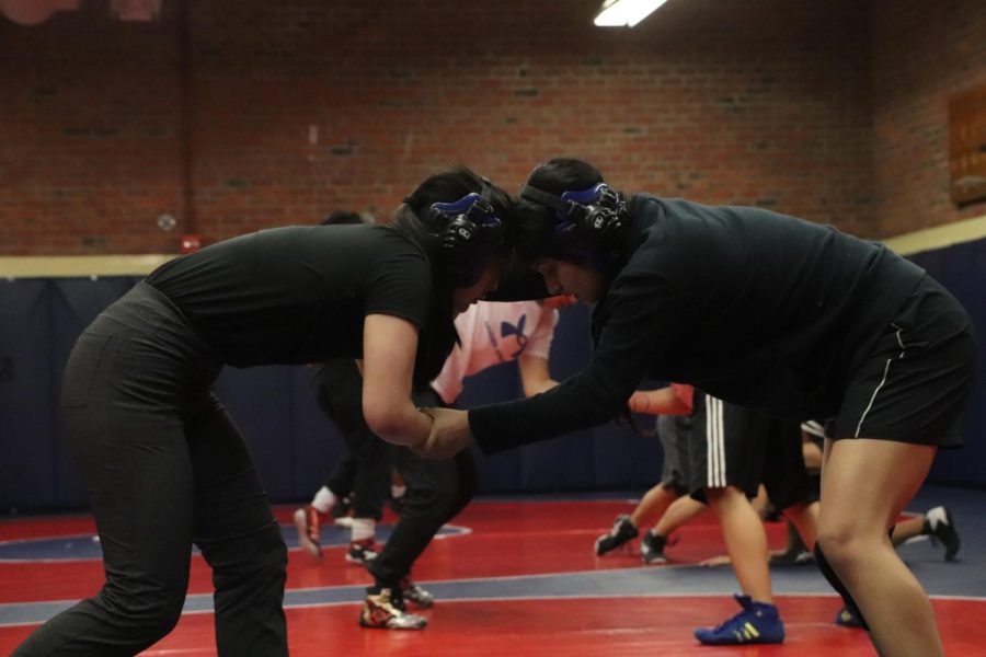 By not allowing stigmas prevent them from enjoying the sport, female wrestlers show their resilience and prove that they too deserve to compete in the playing field.