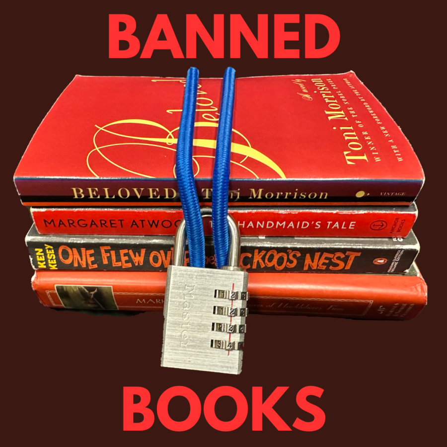 Don’t judge a book by its cover: the shortcomings of banning books