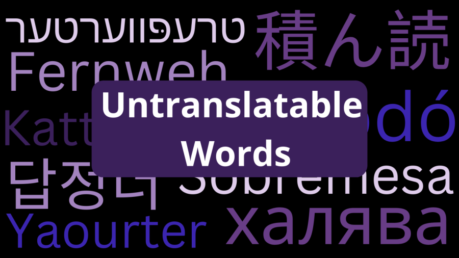 Lost in Translation: Untranslatable Words