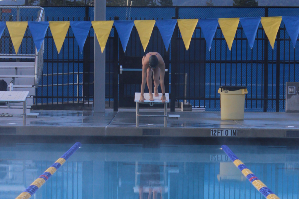Junior Emma Tang prepares for a dive at the Prospect High School pool.