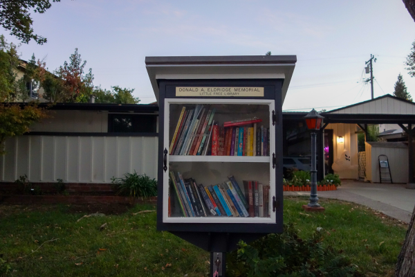 Little Libraries