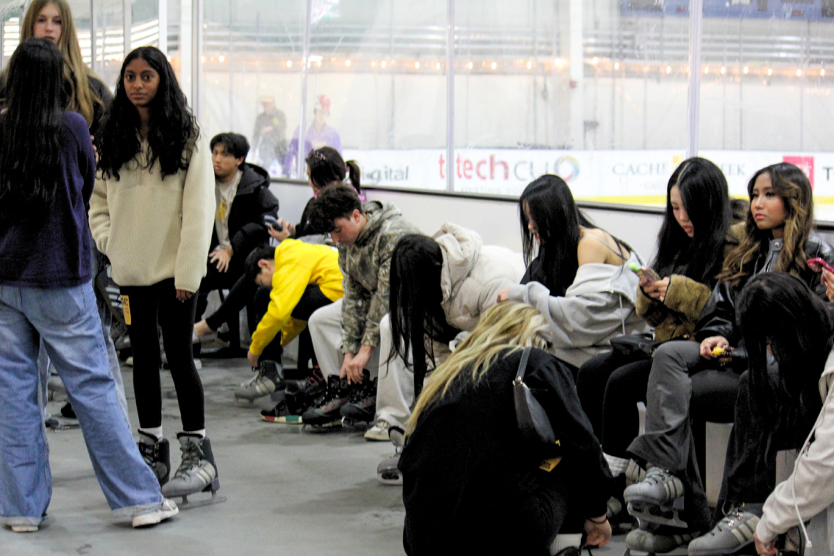 Sophomores from across the district enjoy an evening of skating at the frst-ever intradistrict social.