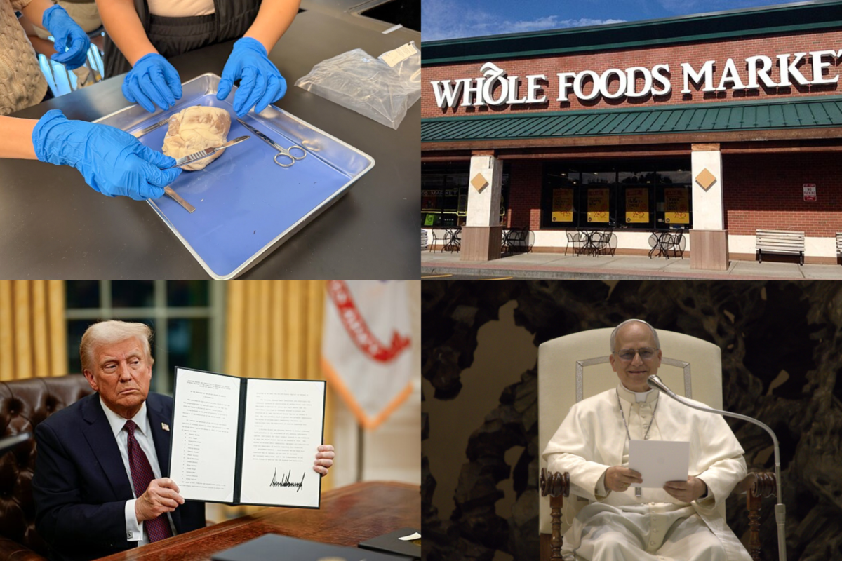 Notable events include Cardiomed Club's annual dissection hosted in collaboration with Surgery Interest Club, the Cupertino Whole Foods shutting down due to a rat infestation, Harvard sueing the Trump Administration and the new pope, Pope Leo XIV. Top left: photo used with permission from Ilan Garcia.
Top right: photo used with permission from Wikimedia Commons. Bottom left: Photo used with permission from Wikimedia Commons. Bottom right: Photo used with permission from Wikimedia Commons.