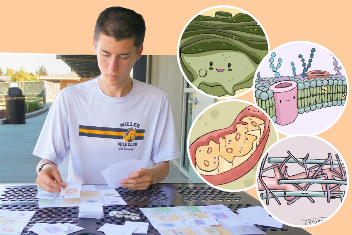 Bryce Mikolajczak holds up his cards, planning to make his next move in his game Cell Quest. Photos by Nicolas Cheng and used with permission from Bryce Mikolajczak.