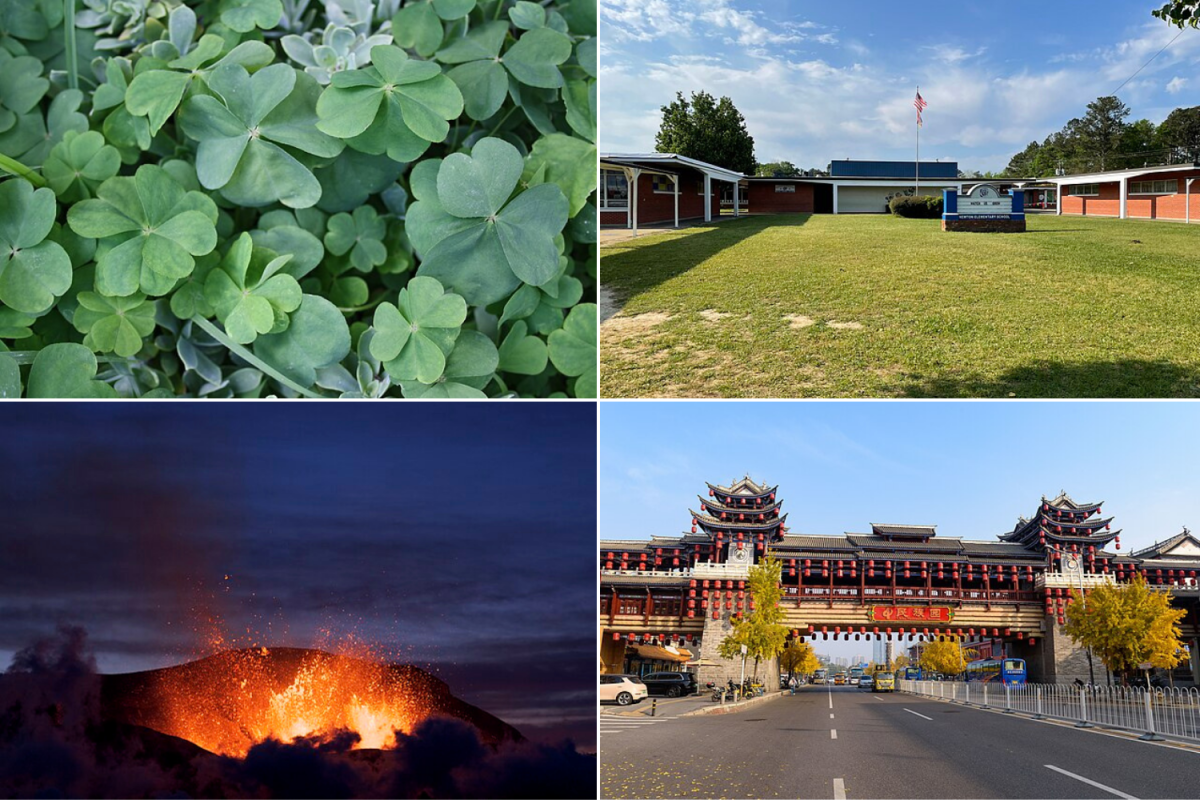 Recent events to note include ASB Spirit's first-ever St. Patrick's Day event, San José Unified School District shutting down five out of nine of their schools, Hawaii Island's Kilauea volcano erupting, and the People's Republic of China approving a sweeping "ethnic unity" law. Top Left: Photo by SunOfErat/Wikimedia Commons
Top Right: Photo by Ktkvtsh/Wikimedia Commons
Bottom Left: Photo by Boaworm/Wikimedia Commons
Bottom Right: Photo by N509FZ/Wikimedia Commons