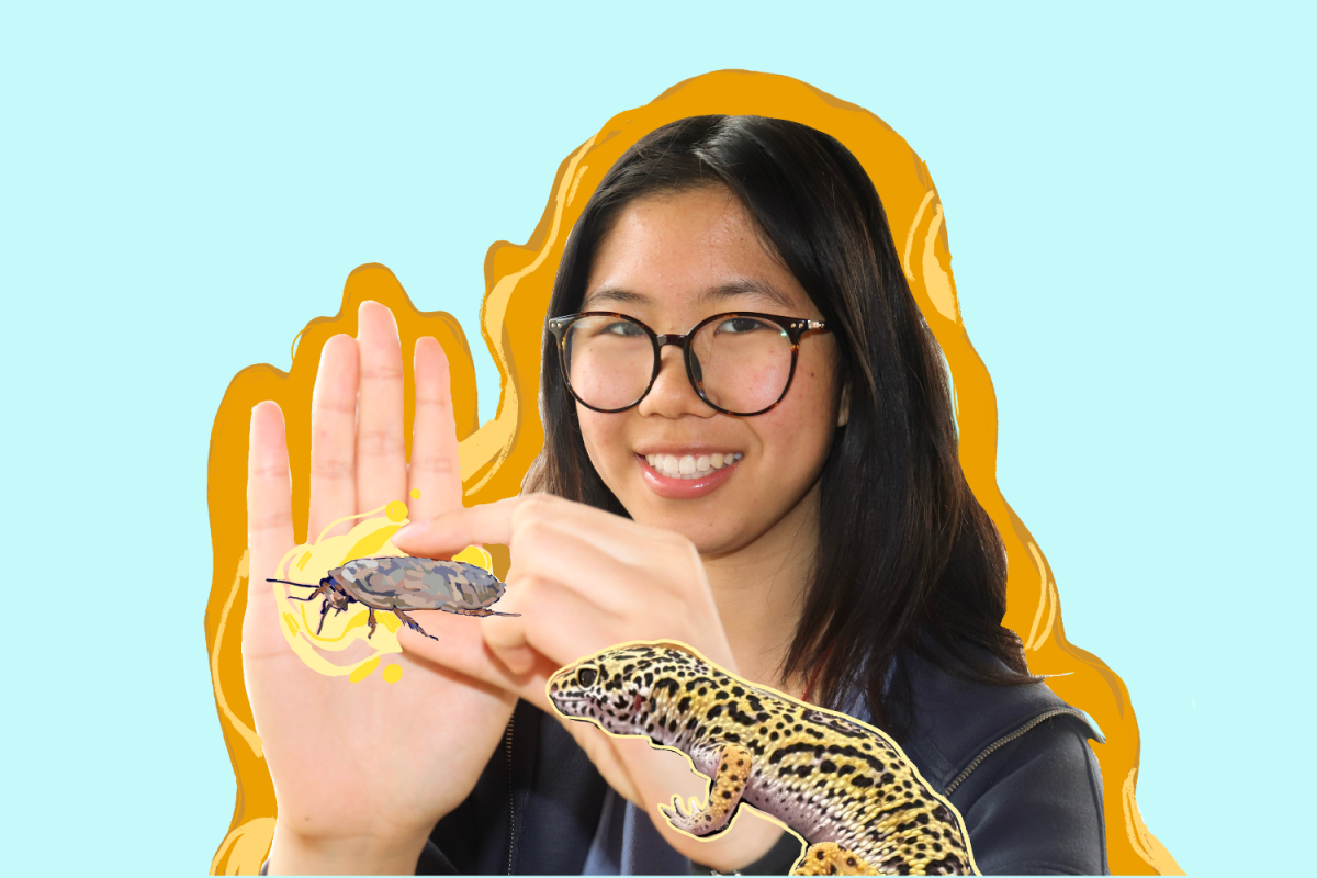 Inside Eileen Zhao’s roach breeding project